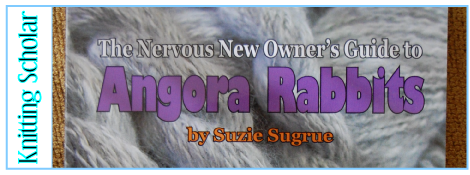 Review: Nervous New Owner’s Guide to Angora Rabbits post image